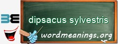 WordMeaning blackboard for dipsacus sylvestris